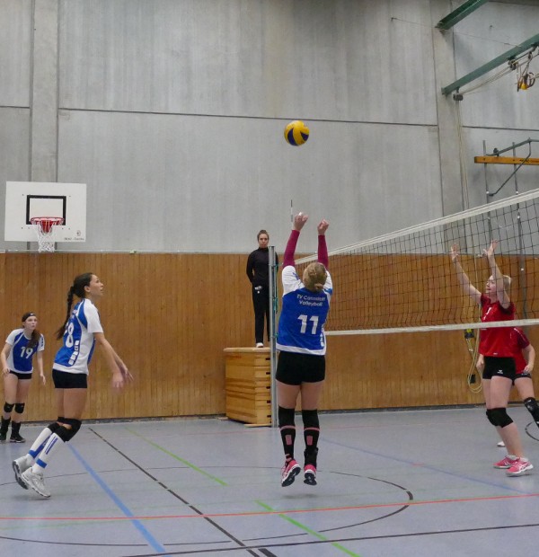 Damen1 Volleyball Zuspiel